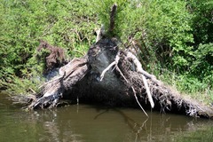 Killikus&reg; Fotographie